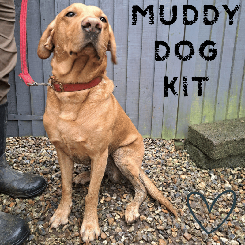 The Muddy Dog Kit